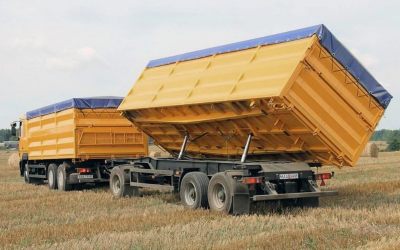 Услуги зерновозов для перевозки зерна - Элиста, цены, предложения специалистов