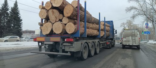 Поиск транспорта для перевозки леса, бревен и кругляка стоимость услуг и где заказать - Элиста